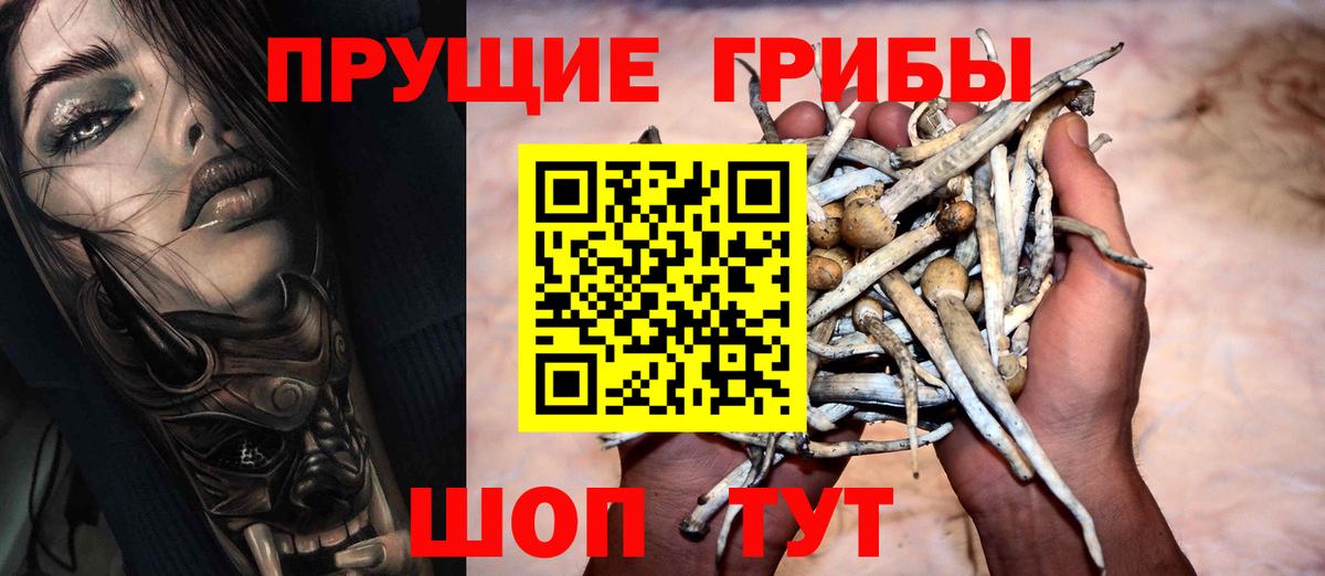 Галлюциногенные грибы прущие грибы  Вход с VPN  Электросталь 